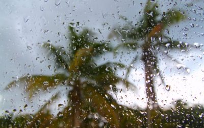 Car Care Tips for Tropical/Wet Climates