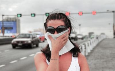 Car Smells to Watch Out For — Infographic